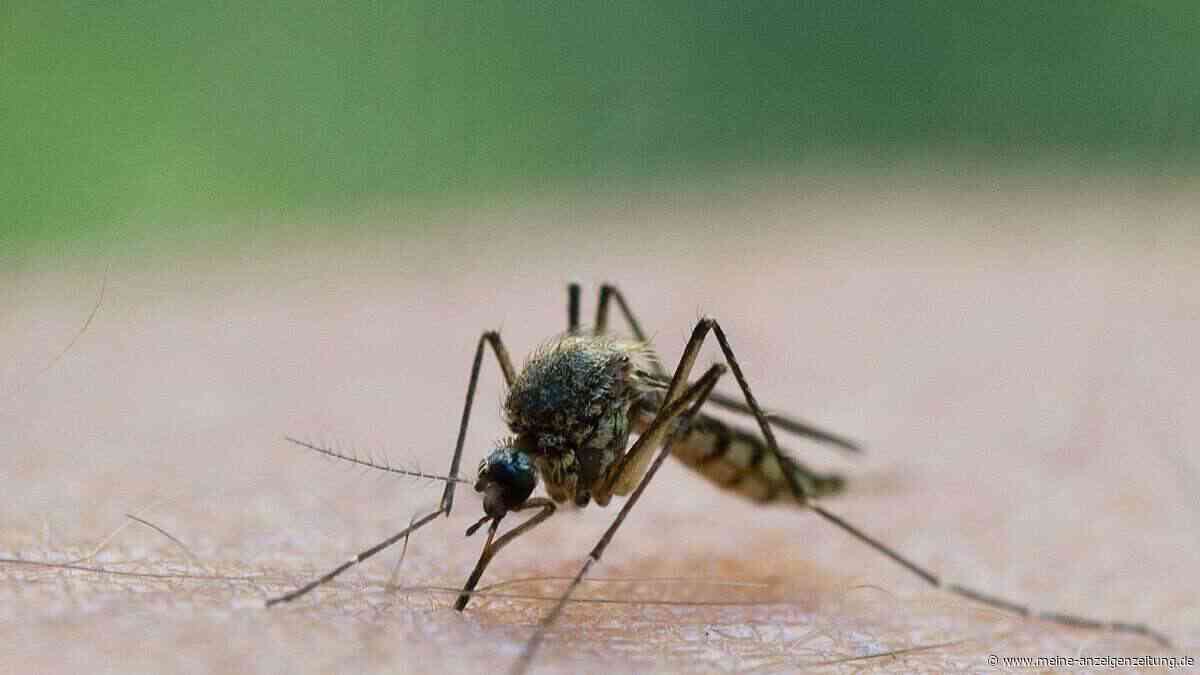 Gefährliches Virus breitet sich in Italien weiter aus – erstes Todesopfer gemeldet