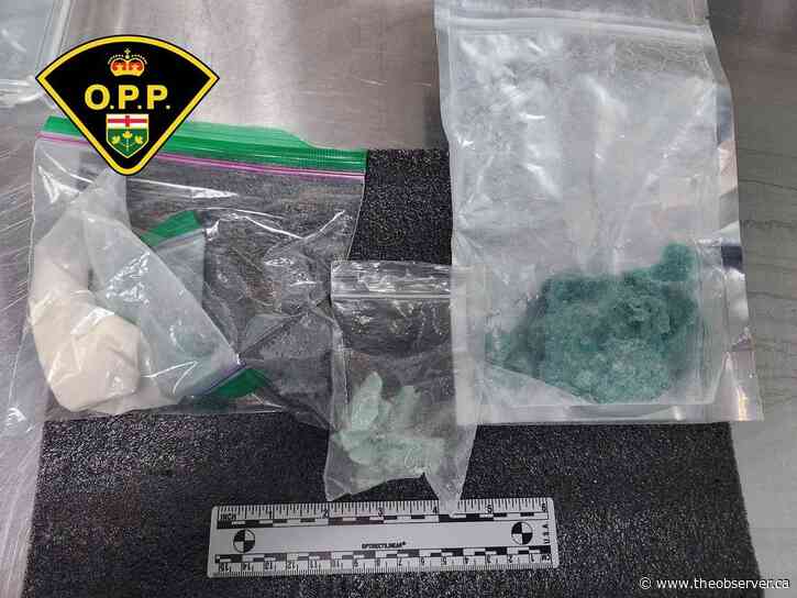 Man gets house arrest for role in $75K Walpole Island drug bust