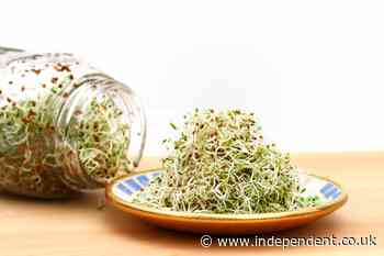 Salmonella and E. coli outbreak linked to alfalfa sprouts spreads to 15 states, officials say