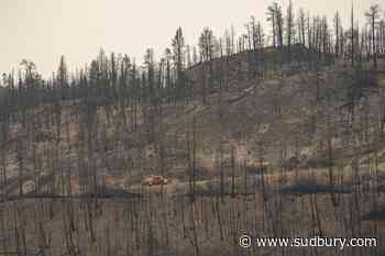 Charred road to recovery for residents, businesses in B.C.'s south Okanagan