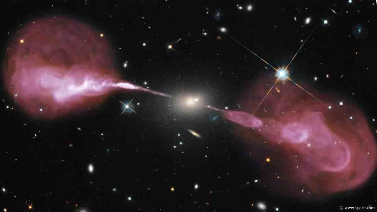 What happens when a galaxy's supermassive black hole turns off? These dying radio galaxies could show us