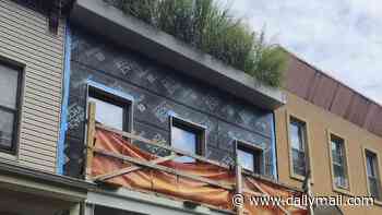 NYC socialist hates the rich... but has very expensive taste in BLINDS at sleek $1.5m home daddy bought him