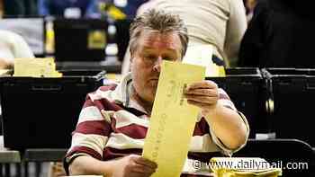 Revealed: The full scale of illegal 'family voting' at the Birmingham polls - as election watchdog is urged to investigate