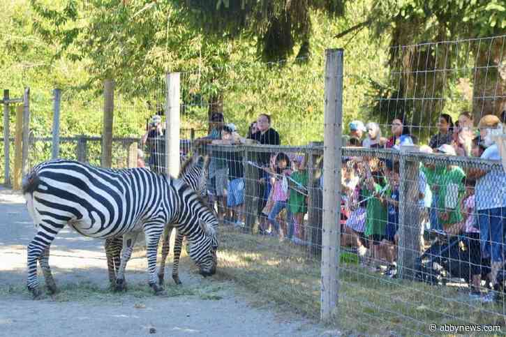 Greater Vancouver Zoo reveals name of zebra foal