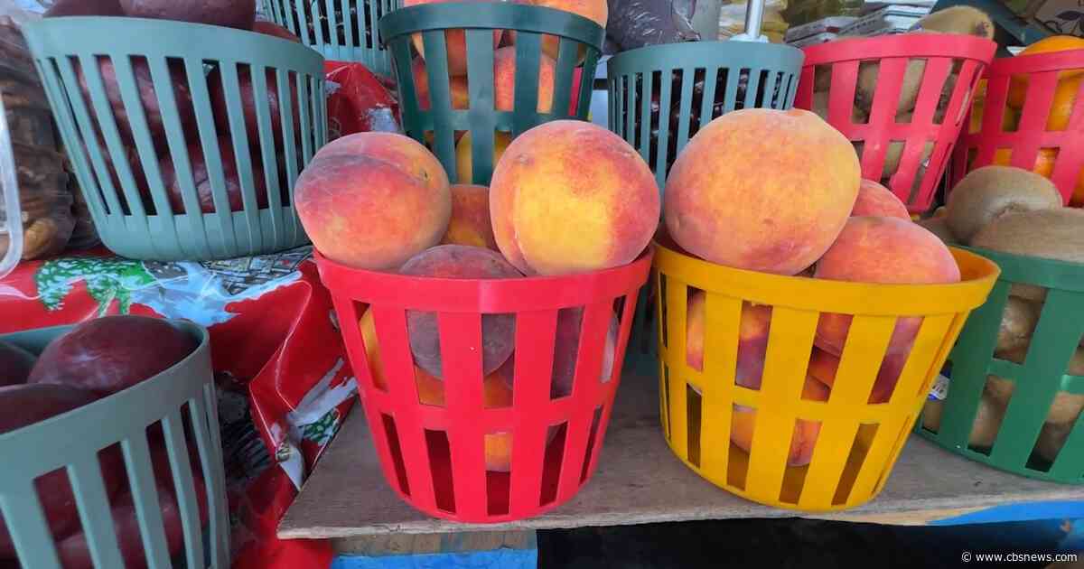 Georgia officials warn of farmer's market social media scam