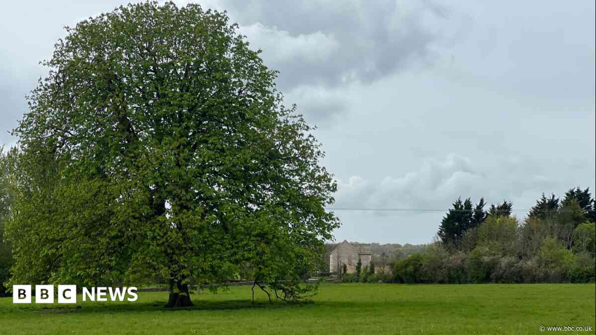 Plans to save meadows near Highgrove rejected