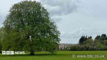 Plans to save meadows near Highgrove rejected