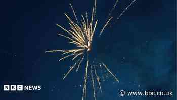 Cricketers banned over 'irresponsible' fireworks