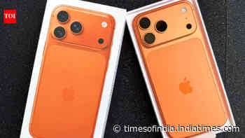Apple expected to expand manufacturing beyond iPhones: Govt