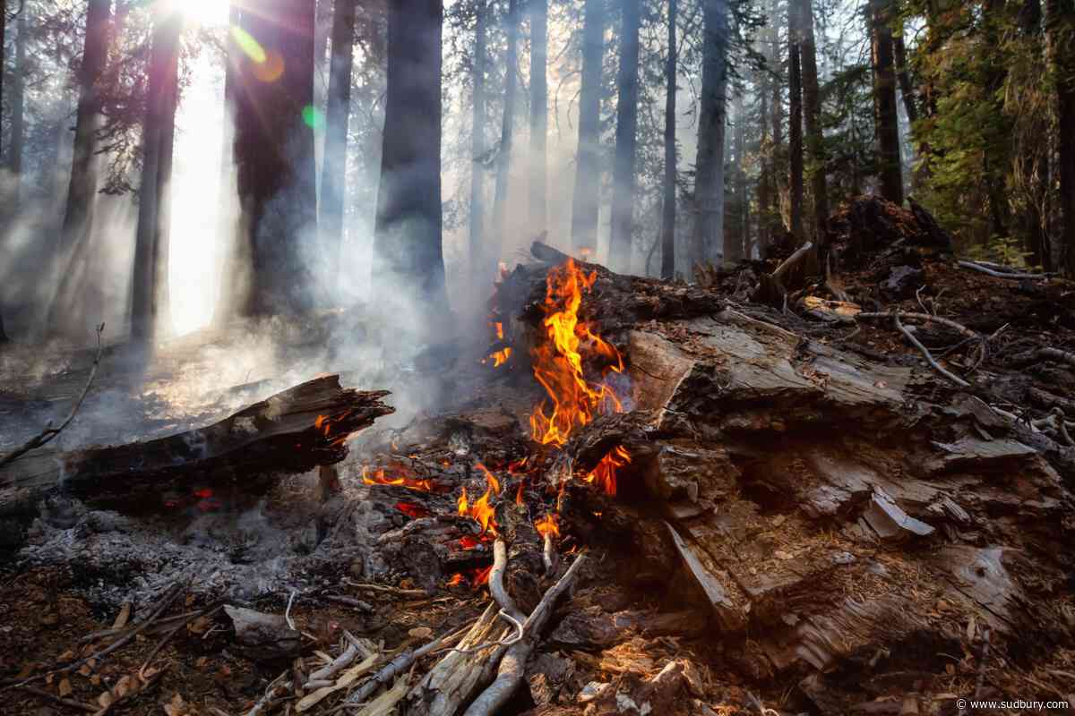 One new wildland fire confirmed today in Sudbury District