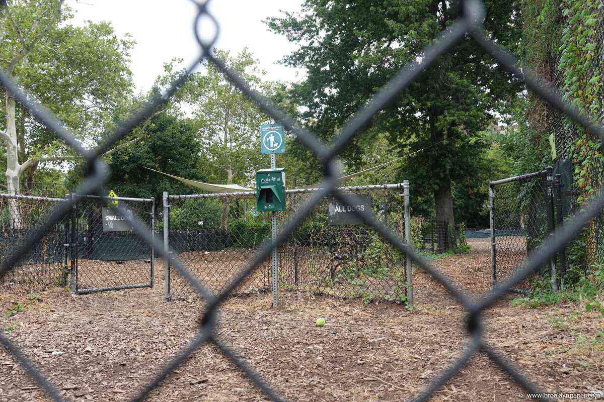 Elevated levels of mercury, arsenic found in dog run at Herbert Von King Park