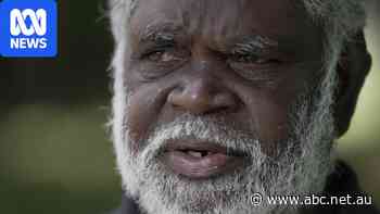 From Nhulunbuy to New York, the rare politician torn between two worlds