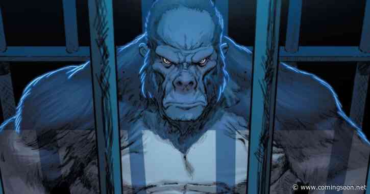 Superman: Why This Netflix Show Will Tell You What to Expect From New DCU Spin-off