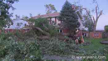 Class-action lawsuit filed against NIPSCO, alleges lack of vegetation management prior to storm