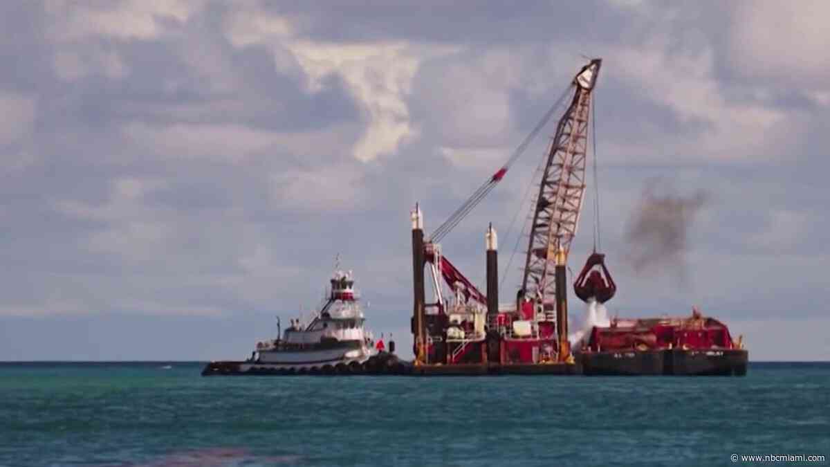 Another dredging project on hold in Broward amid coral and conch concerns