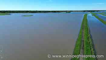 Summer flooding sinks some fall harvest hopes