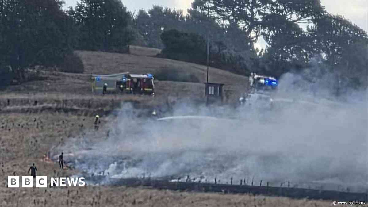 Crews tackle 'significant wildfire' near bridge