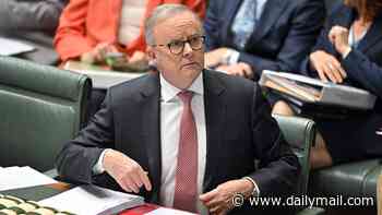 Another Aussie territory signs up for Albanese's gun buyback scheme after Bondi Beach shooting