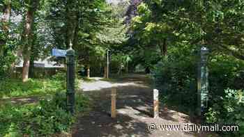Man in his 60s is arrested after woman in her 40s is 'raped' on woodland path near Bournemouth seafront