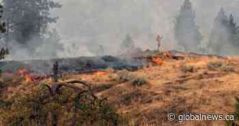 Suspicious fire on Knox Mountain after witness snaps photo of shirtless man among flames