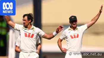 Live: Starc claims five wickets inside first hour during brilliant new ball spell in Mackay