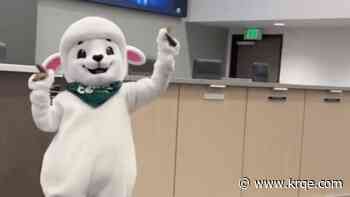 Bernalillo County welcomes new mascot named 'Bernie'