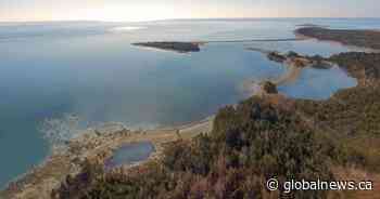 Whale sanctuary project secures 20-year Nova Scotia lease despite ongoing opposition