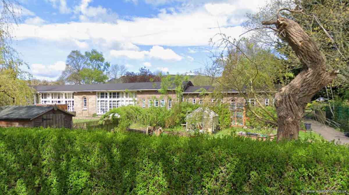 Powys school given zero hygiene rating after mouse droppings found in kitchen