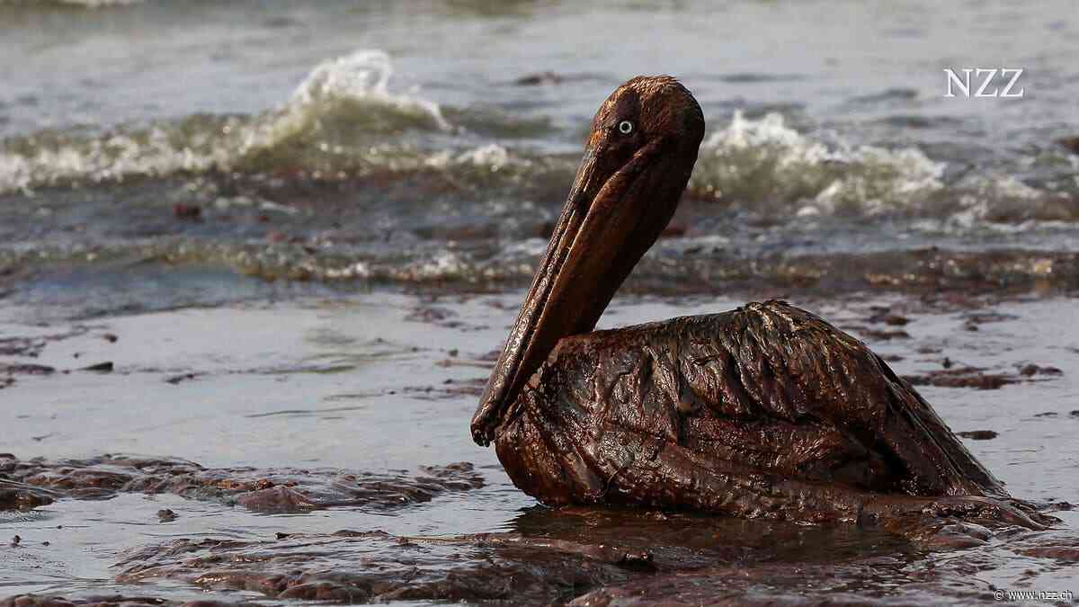 Wenn wie jetzt vor Oman Rohöl ins Meer gelangt, ist das immer eine ökologische Katastrophe. Was die Forschung aus vergangenen Unglücken gelernt hat