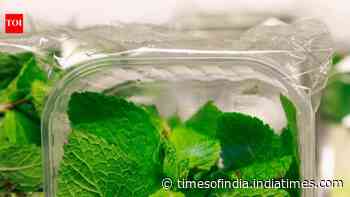 How to store mint leaves and keep them fresh for longer