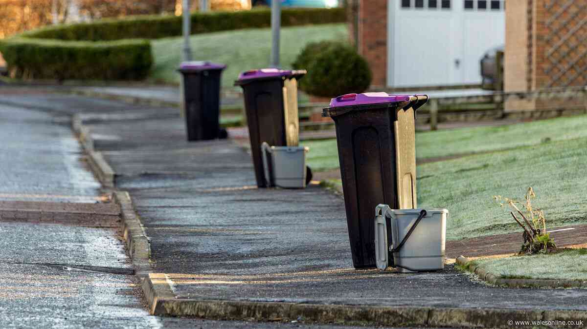 'Neighbour keeps using my bins and it’s driving me mad' - legal rights explained