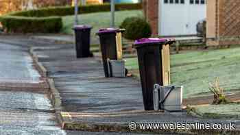 'Neighbour keeps using my bins and it’s driving me mad' - legal rights explained