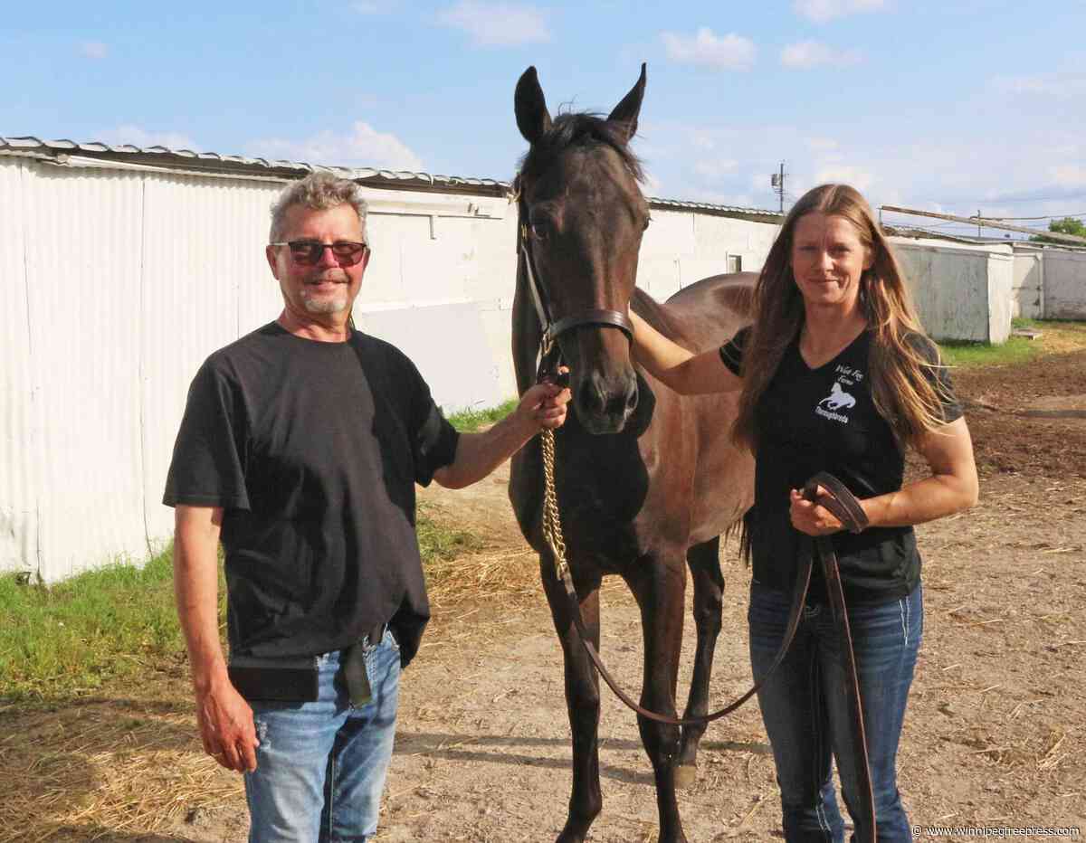 Speculating steals show at Yearling Sale