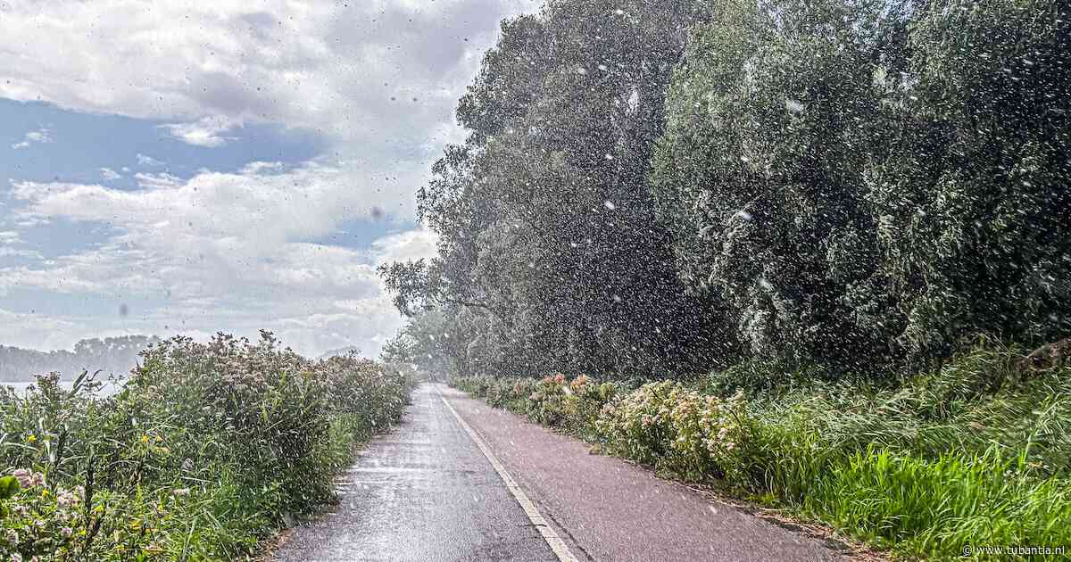 Fris en wisselvallig weekend: ‘Aan de koele kant voor tijd van het jaar’
