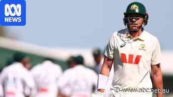 Live: Australia's top order crumbles as Bangladesh fights back from horror morning