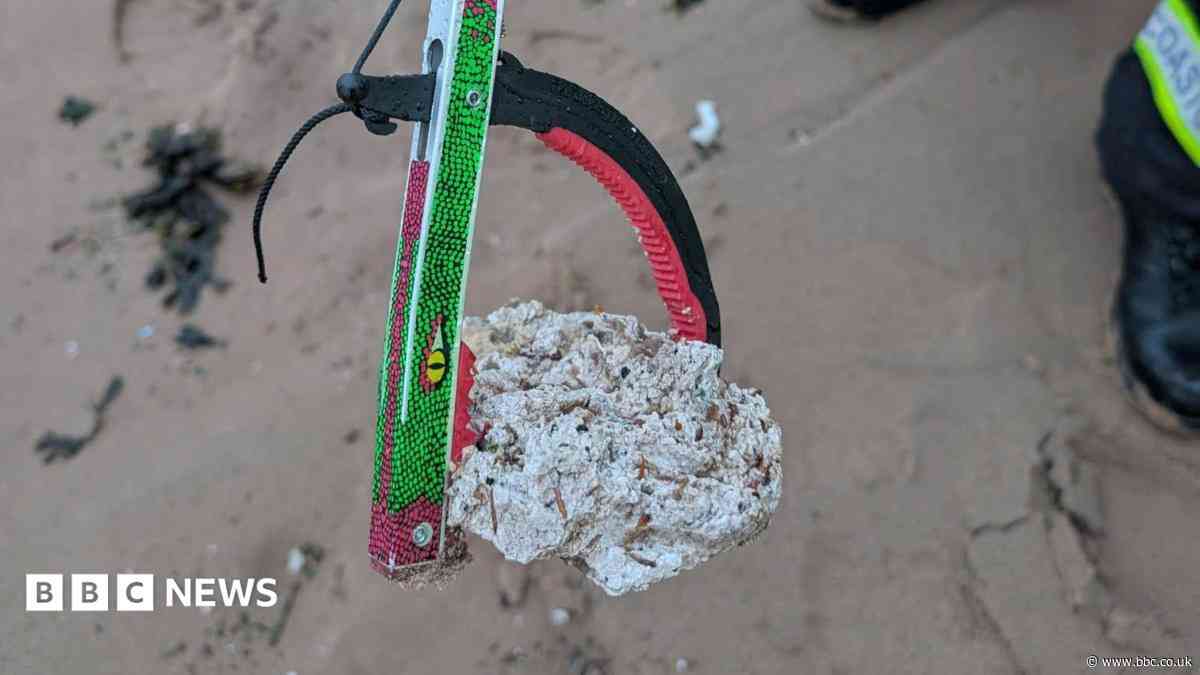 Dog warning as suspected palm oil washes up on beach