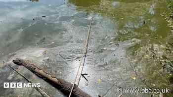 Fixing park pond would 'impact other services'