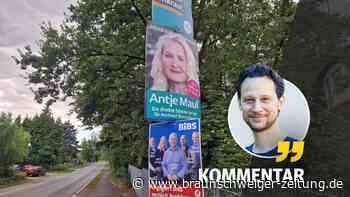 Wahlplakate in der Region Braunschweig-Wolfsburg: Von doof bis lustig alles dabei