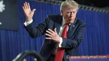 Trump claps back with 'mom' jibe after protestor's brazen stunt at rally