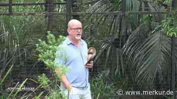 Peter Giesel freut sich auf Wildpark-Besuch in Australien - dann stutzt er: „Ganz schrecklich“
