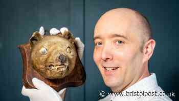 Extinct tiger head bought for £50 sells for £60k after being mistaken for 'fox'