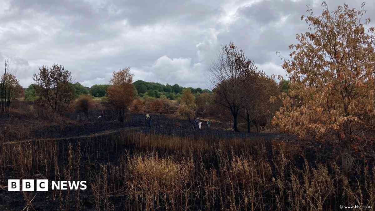 Community rallies round after park wildfire