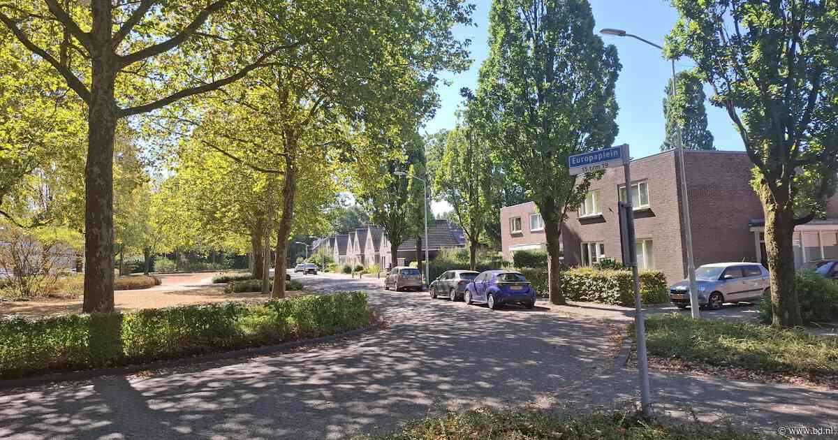 Omwonenden van Europaplein in Best zijn verkeersdruk en hardrijders beu: ‘Het gaat meestal maar net goed’