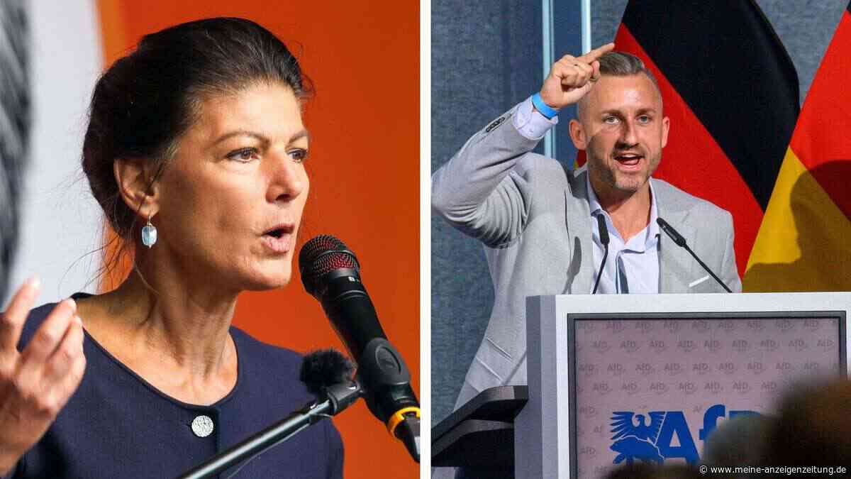 Wagenknecht über AfD-Kandidat Siegmund: „Ein neuer Hitler ist er nicht“ – Merz-Sturz wäre „ein Segen“