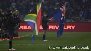 How to watch South Africa v New Zealand - TV channel and kick-off time