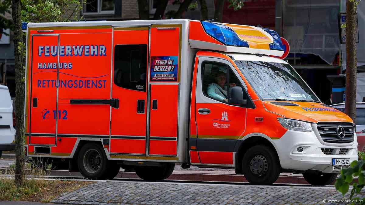 Betrunken ins Wasser gefallen? Feuerwehr muss Mann aus der Elbe retten