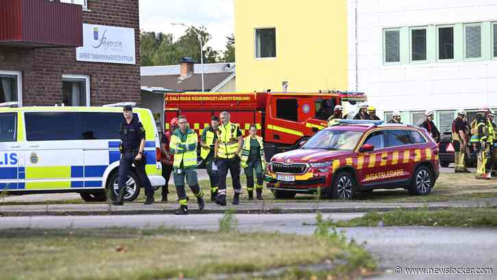 Verdachte (18) dodelijke zwaardaanval op Zweedse school heeft gewelddadig verleden: vrienden zagen hem veranderen