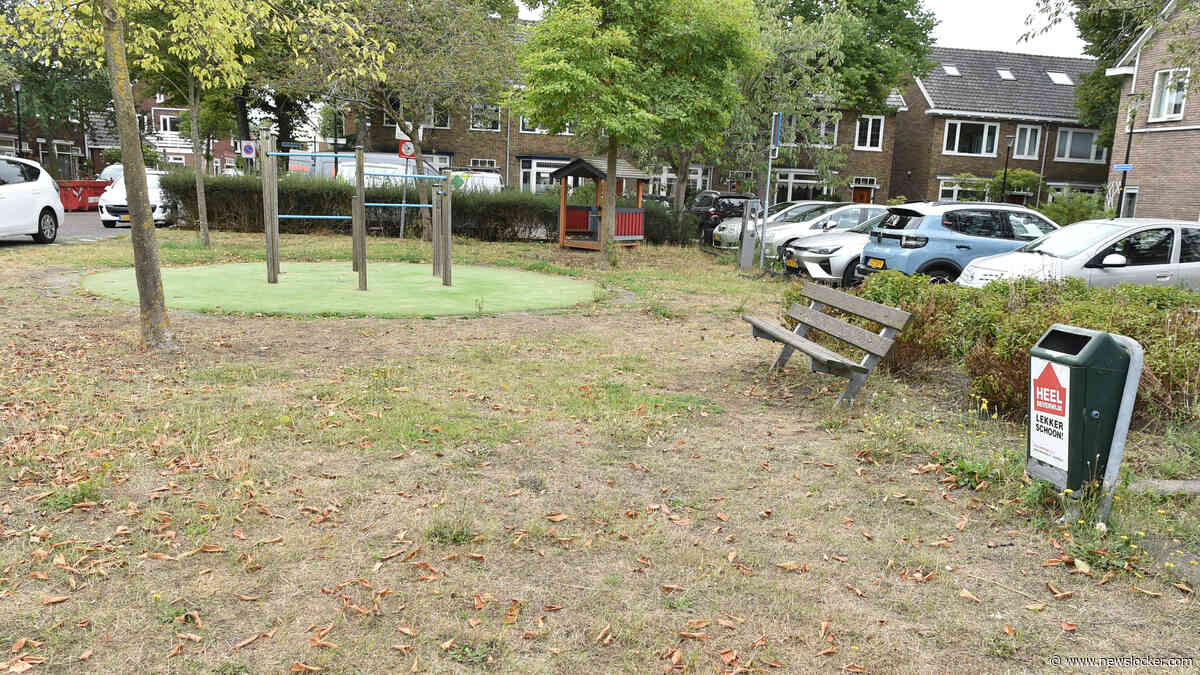 Ruzie om hondenpoep in speeltuin escaleert: ’Ik heb rattengif neergelegd, nu is het snel opgelost’