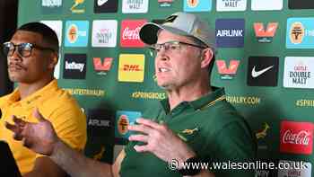 Rassie Erasmus makes Springboks request after controversy and Welsh players get day in court