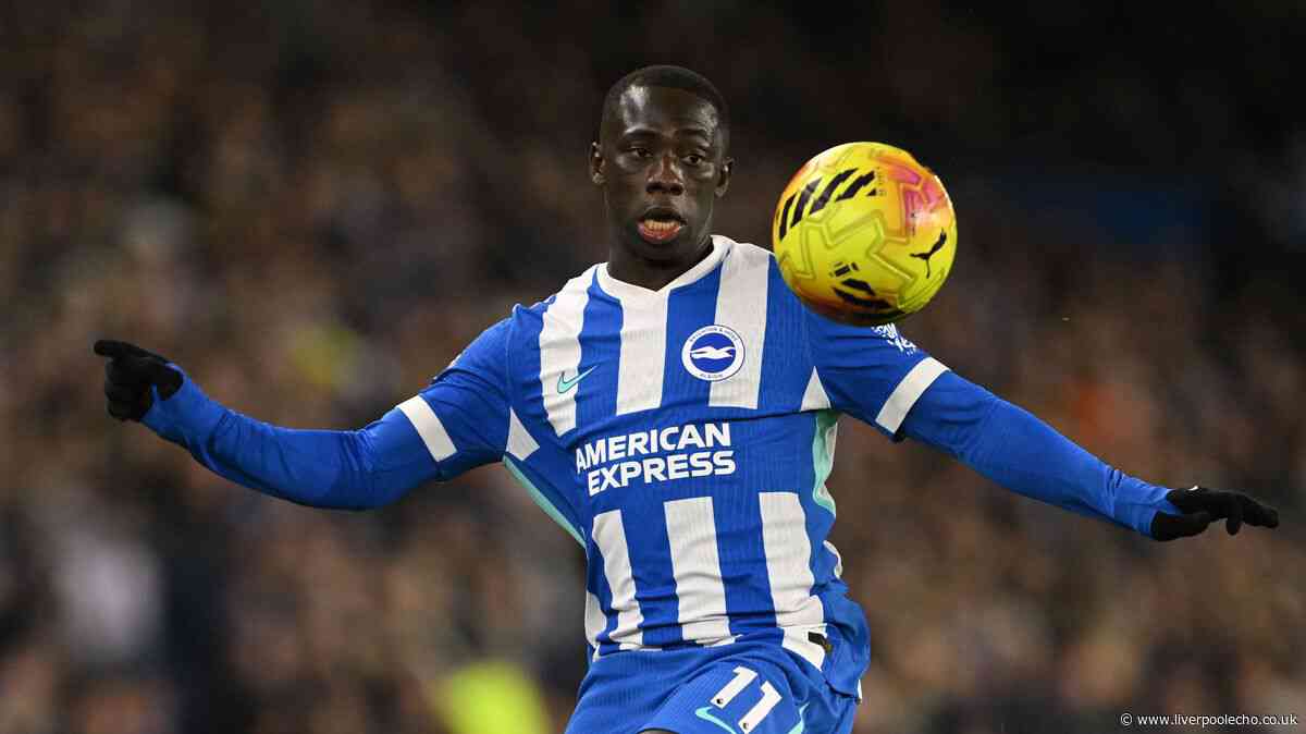 Liverpool transfer news LIVE: New Yankuba Minteh bid, done deal, Bradley Barcola latest